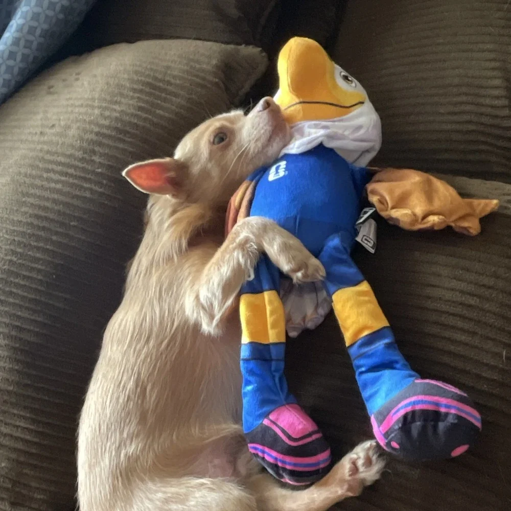Dog Toy/Plush/ Clutch FIFA World Cup Eagle/squeaky belly/crinkle wings and legs